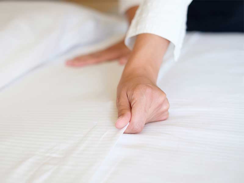 car upholstery cleaning